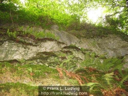 Dooney Rock, Lough Gill, County Sligo